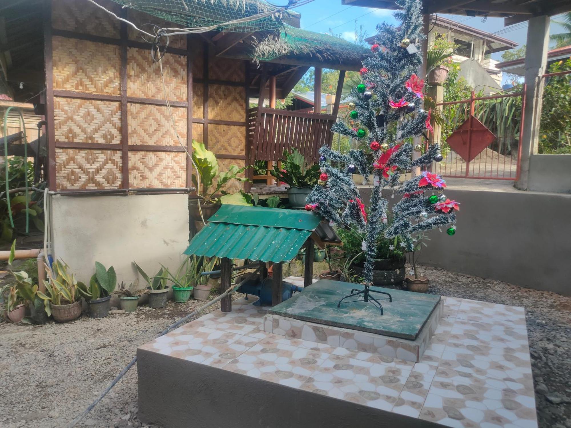 Fely'S Homestay Batuan エクステリア 写真