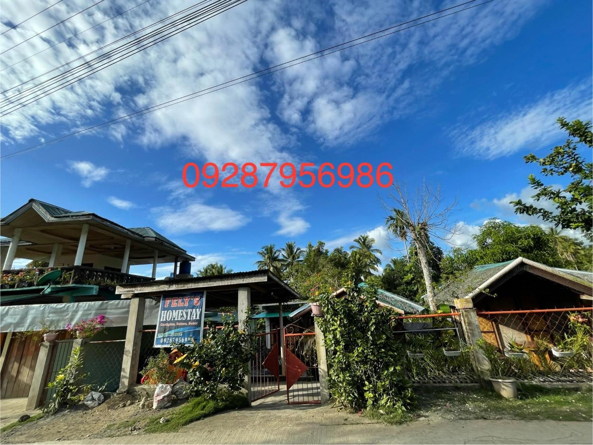 Fely'S Homestay Batuan エクステリア 写真